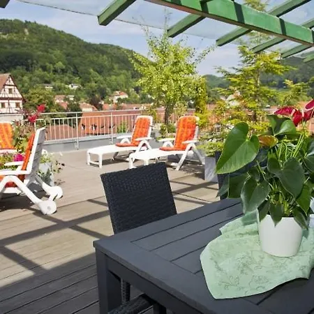 Hotel Buck 3*